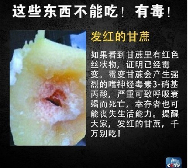 网友在山姆买到剧毒蓝环章鱼 央视科普：这几样常见食物也不能吃