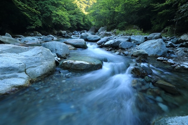 景区抽水8小时打捞游客手机 网友：早泡坏了值吗？