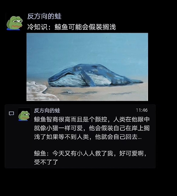 博主“科普”鲸鱼会假装搁浅吸引人来救 博物杂志辟谣：九死一生