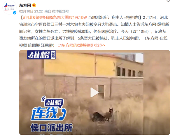 六旬夫妇遭恶犬围攻1死1伤 遇到怎么自救：网友热议为何不全面禁止养狗？