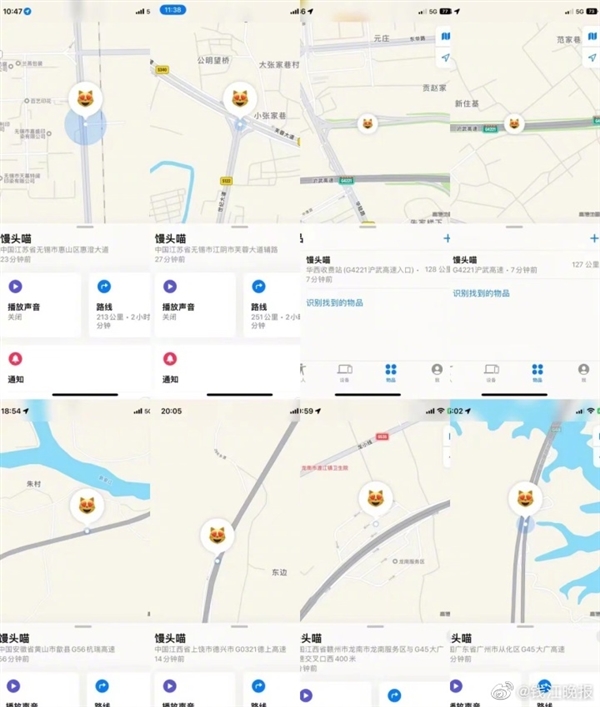 浙江女子1600公里追到广州找到被偷的爱猫：苹果AirTag定位器立了大功