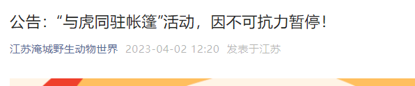 动物园回应与虎同住1小时奖10万：愚人节宣传 老虎将帐篷撕毁