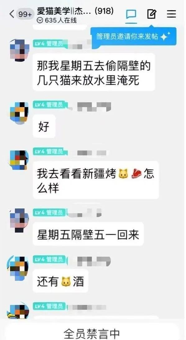 杰克辣条再开直播虐猫？人民网怒批：处刑式虐猫可憎 向人类良知挑战