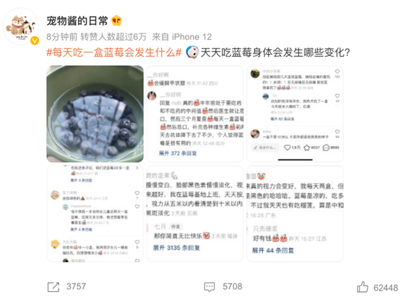 每天吃一盒蓝莓会发生什么？皮肤真的会变白？