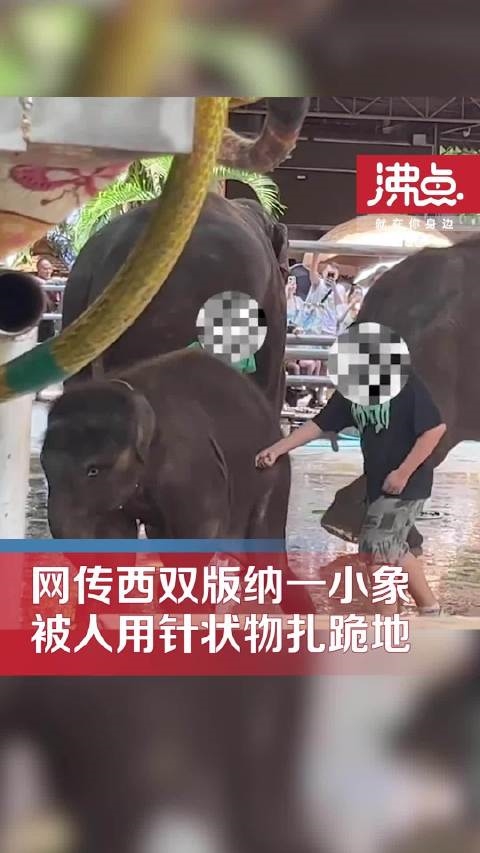 网传云南一公园多人用针扎小象引围观 官方回应：网友呼吁不要再看动物表演