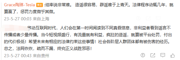 特斯拉陶琳：谣言层出不穷、原因之一是流量至上