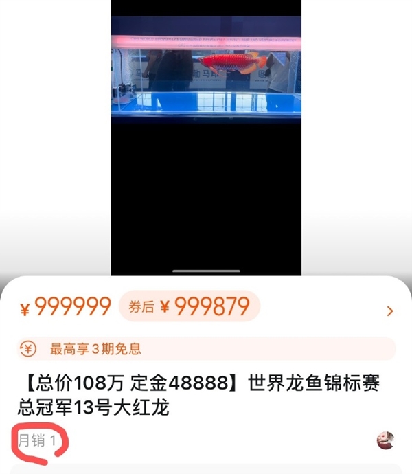 鱼生巅峰！一条龙鱼能换一套房：成交价高达108万