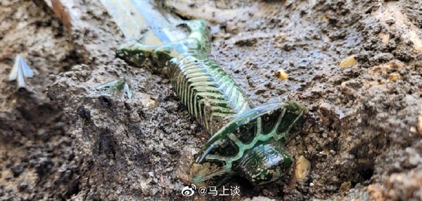 德国发现3000年前青铜剑 出土竟还在发光：国内网友看笑 这不是伪造？