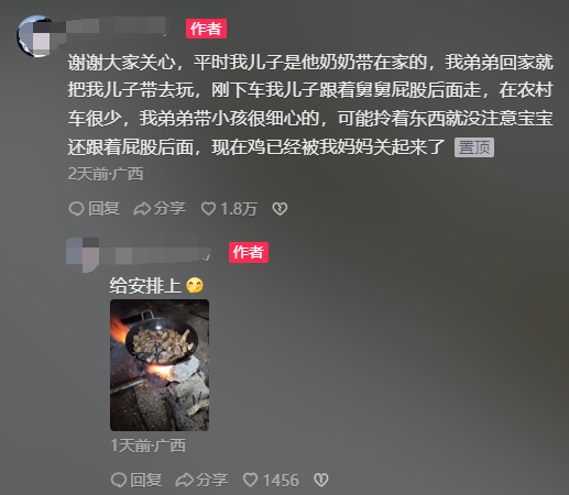 公鸡突然从背后“偷袭”萌娃 飞起两脚踹倒在地 第二天端午节就被炖了