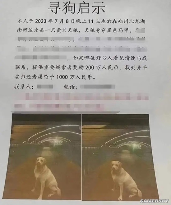 悬赏千万的狗已找到 主人给了5000引热议：手机已关机 联系不上