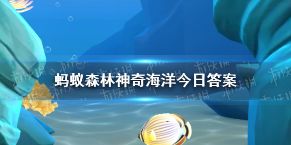 我国人工修复面积最大的红树林位于以下哪一个自然保护区(红树林保护区开始建于1990年)