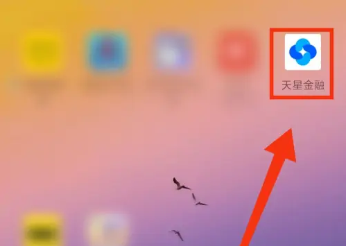 天星金融app