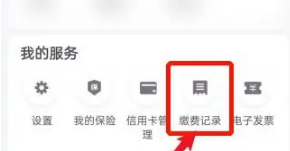 云缴费怎么查询