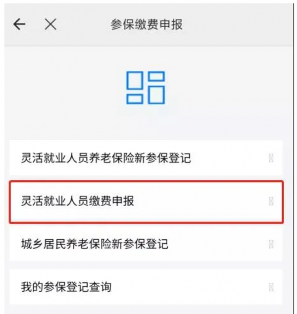 云南省怎么在手机上交养老保险