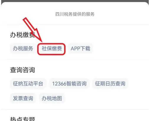四川税务app怎么查询缴费记录
