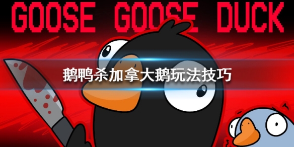 鹅鸭杀加拿大鹅可以自爆吗-Goose Goose Duck加拿大鹅玩法技巧