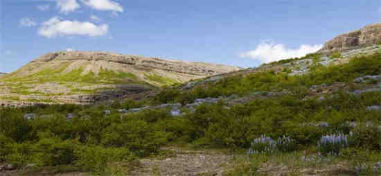 和平精英山谷原型在哪里