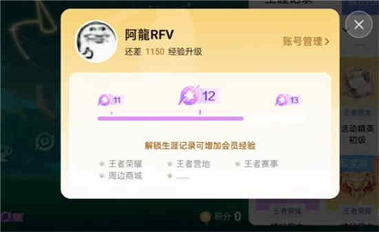 王者荣耀星会员15级多少钱