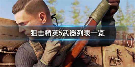 狙击精英5武器有哪些(狙击精英4和合金装备5)