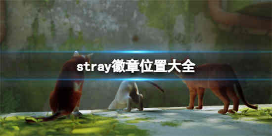 迷失stray徽章位置在哪里(迷失stray徽章位置在哪里)