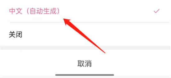 哔哩哔哩短视频里的字幕怎么打开