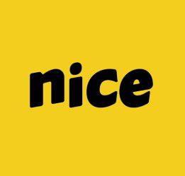 nice是什么中文意思（nice是一个英文词汇）