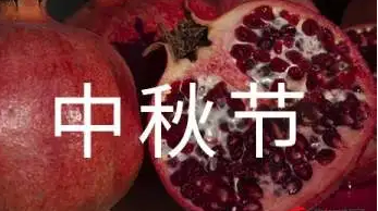 中秋节的作文