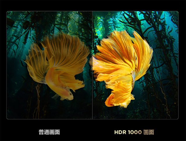 TCL百级分区高画质新品：4K 144Hz屏+220背光分区，7999起