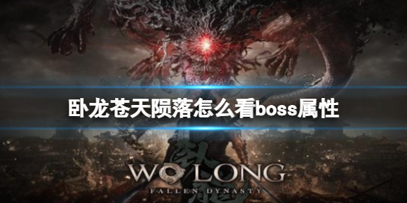 卧龙苍天陨落怎么看boss属性-看boss属性的方法心得