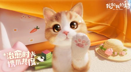 3D拟真猫咪养成休闲社交手游《我和我的猫》(我和我的猫手游下载)