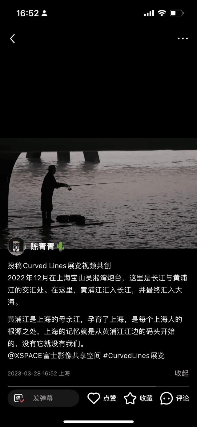 Curved Lines展览征集稿件