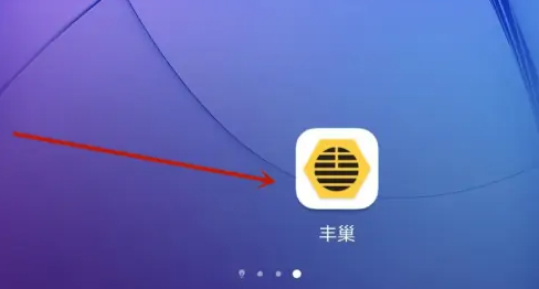 丰巢app怎么开发票(丰巢app怎么开发票)