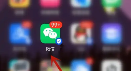 体适能app怎么查体测成绩(体适能app体测成绩怎么看)