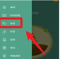 forest管理时间标签怎么用