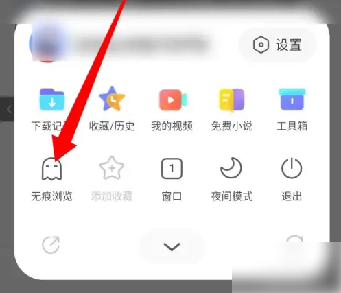 vivo浏览器如何开启无痕浏览功能