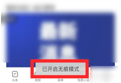 vivo浏览器如何开启无痕浏览功能