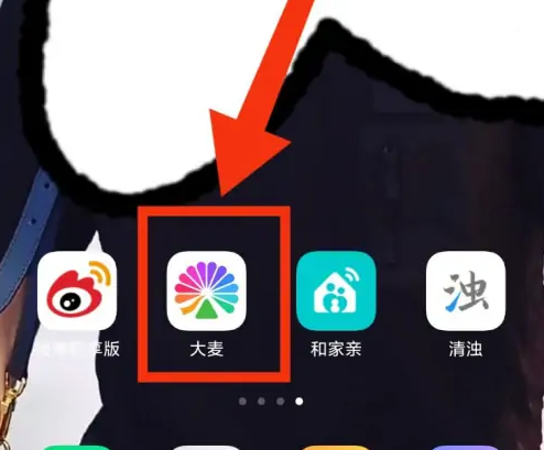 大麦app怎么加好友(大麦app怎么加好友聊天)