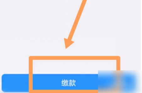 怎么用湖北税务app给宝宝交社保