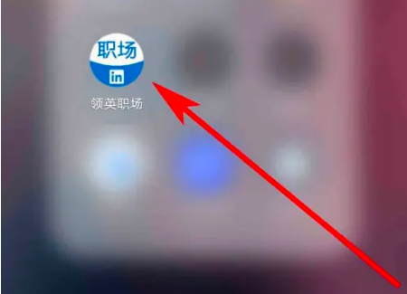 领英app怎么加好友(领英app可以加人吗)