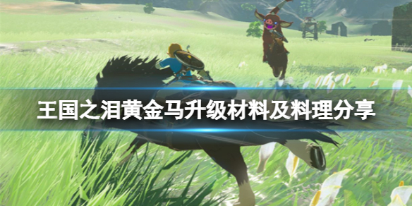 王国之泪黄金马升级材料及料理分享-黄金马怎么升级