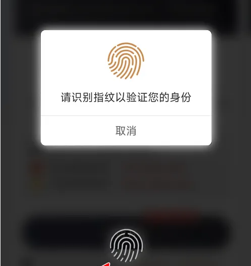 京东微信白条是什么意思