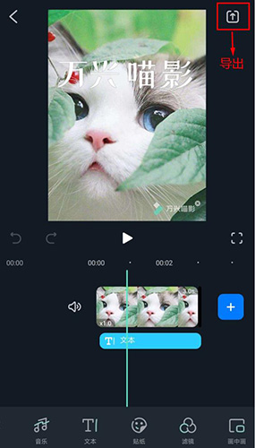 万兴喵影如何导出及分享视频(万兴喵影怎么导出无水印视频)