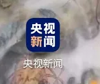 如何在央视新闻客户端发布信息(如何在央视新闻客户端发布信息视频)