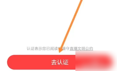 翻咔游戏直播教程