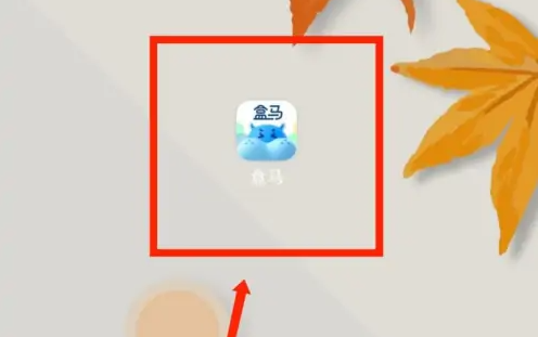 盒马app怎么看打折商品(盒马打折每天几点开始)