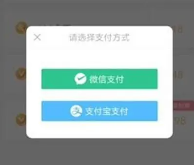 逗拍付费20金币是多少钱