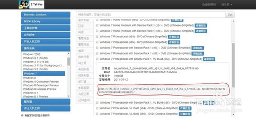 网站镜像是什么意思(国外视频网站镜像)