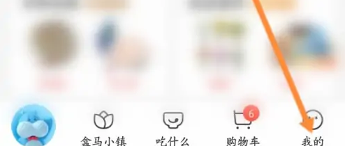 盒马app怎么用微信支付(盒马付钱可以用微信吗)