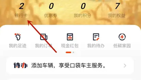 平安信用卡app怎么查账单明细(平安信用卡app怎么看消费记录)