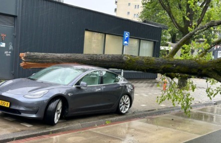 特斯拉Model 3车顶太结实了：被大树压了都不怕